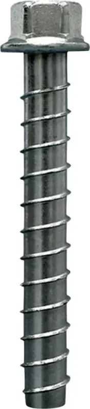 Neu SST Betonschraube THD10080