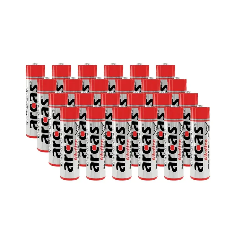 Alkaline Mignon (AA) Batterien - 24 Stück Neue Ware