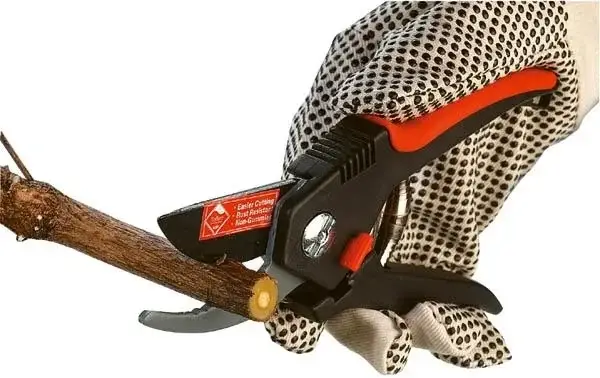 Preis Gesenkt Amboss Gartenschere + Bypass Gartenschere im Set