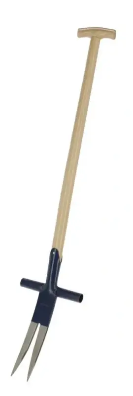 Ampferstecher Sonderaktion