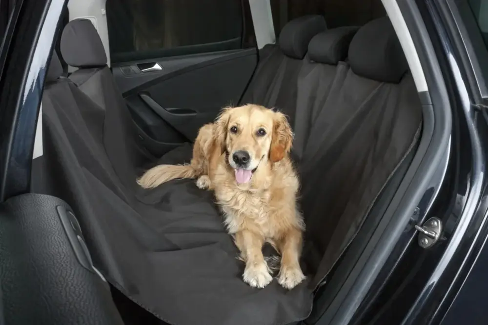 Hundedecke Nero Meistverkauft