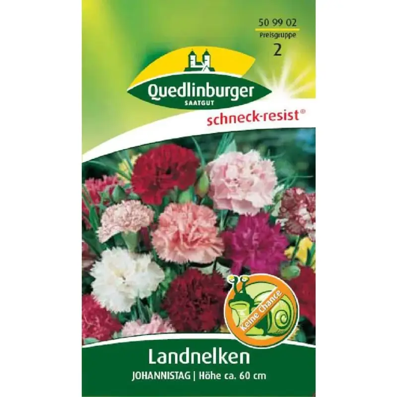 Preis Gesenkt Landnelke kaufen, Johannistag, Nelken Samen, Sommerblumen