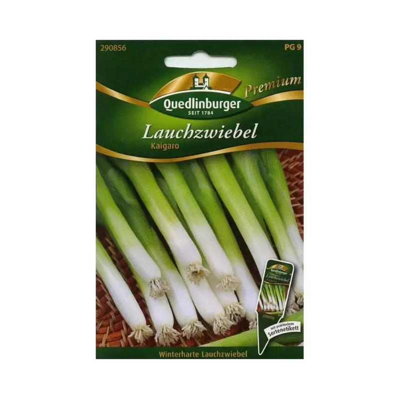 Lauchzwiebel, Frühlingszwiebel, Winterheckenzwiebel - Zwiebeln pflanzen Knallerangebot