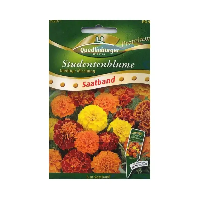 Saatband Studentenblumen, niedrige Mischung Letzte Chance