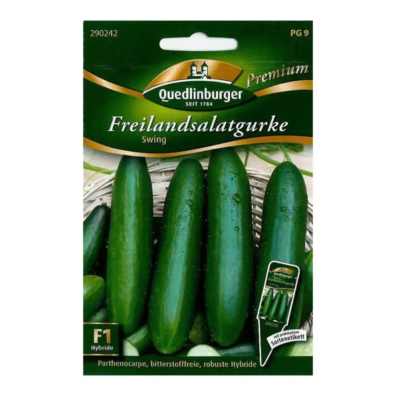 Salatgurke kaufen, Freilandgurke Swing F1, samenfest Schnäppchen