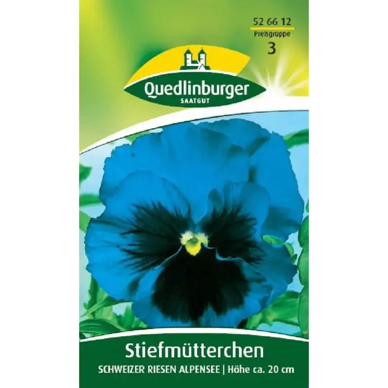 Stiefmütterchen kaufen, Frühlingsblumen für Balkon, zweijährig Super-Preis