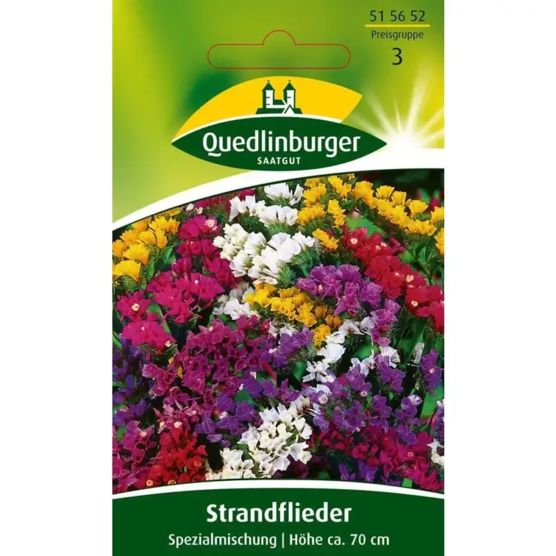 Top-Angebot Strandflieder, Spezialmischung
