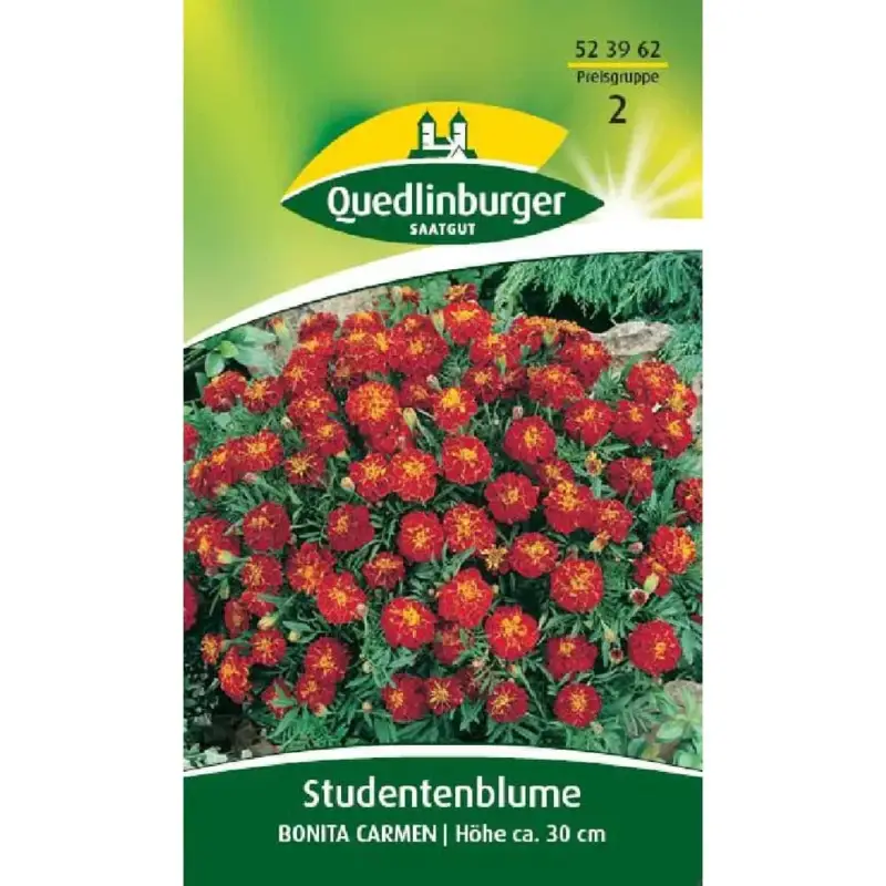 Studentenblume ta Carmen, einjährig, für Beet & Balkon Preiswert
