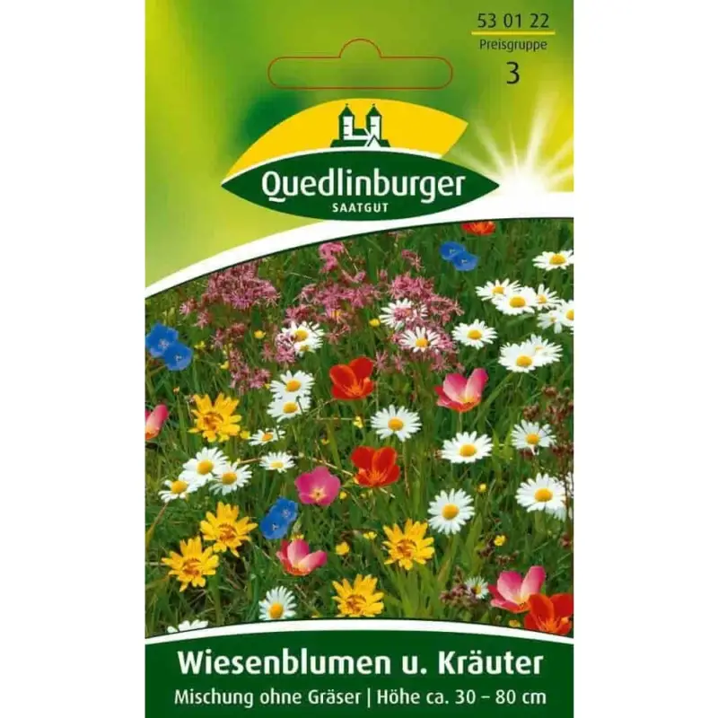 Sonderangebot Wiesenblumen Samen, Kräuter Samen, Bunte Blumenwiese