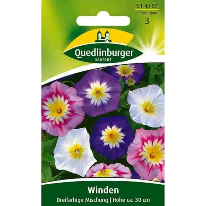 Angebot Winde kaufen, Sommerwinde, Dreifarbige Mischung, einjährig