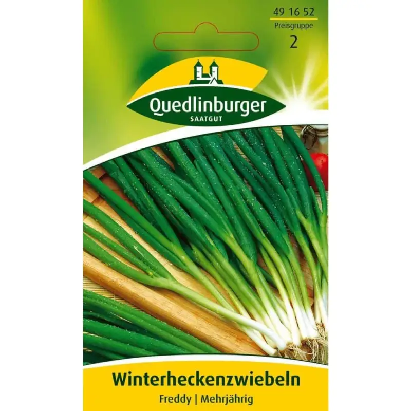 Winterheckenzwiebel, Winterzwiebel, Schlottenzwiebel, mehrjährig Aktuell