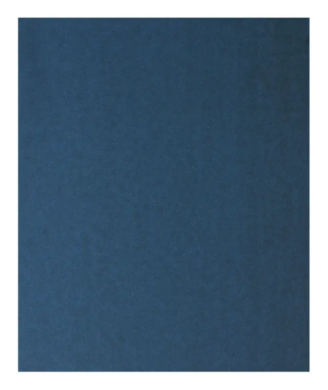 Bosch Zubehör Handschleifpapier Metall, 230 x 280 mm, P180 - 1er Pack(Verpackungseinheit: 50Stück) Markenprodukt