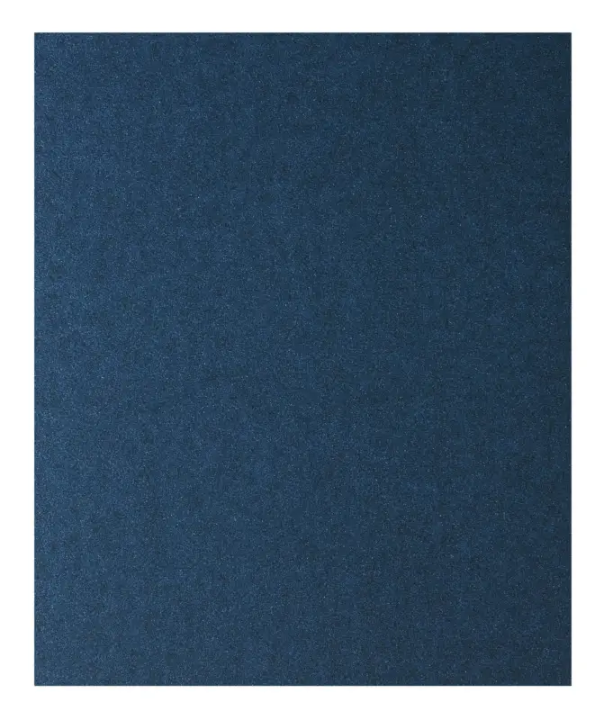 Bosch Zubehör Handschleifpapier Metall, 230 x 280 mm, P80 - 4er Pack(Verpackungseinheit: 10Stück) Neue Ware