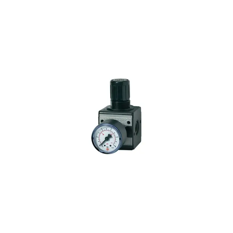 Preis Gesenkt Druckregler MULTIFIX RIEGLER